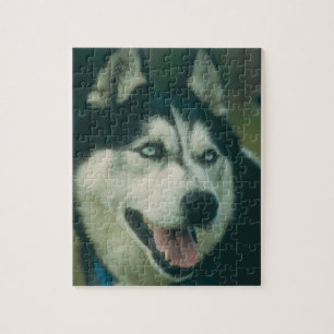 Siberian huskyhundpussel pussel