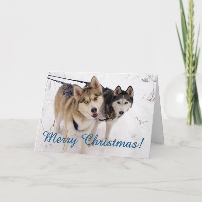Siberian huskyjulkort helgkort (Framsida)