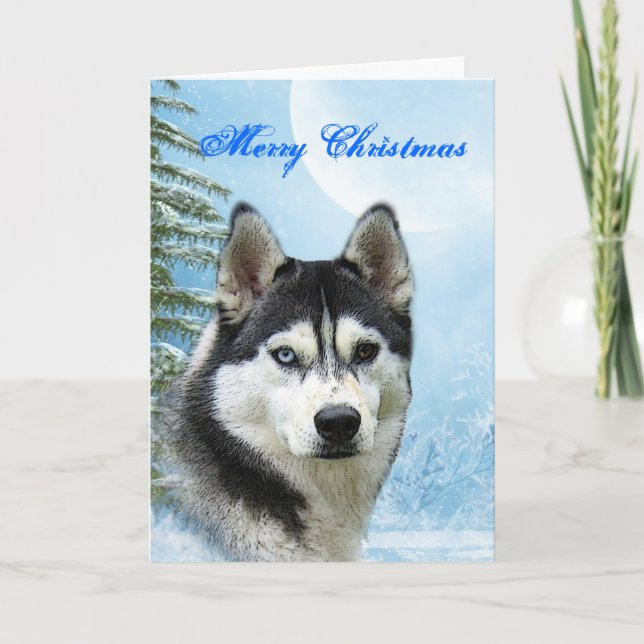 Siberian huskyjulkort helgkort (Framsida)