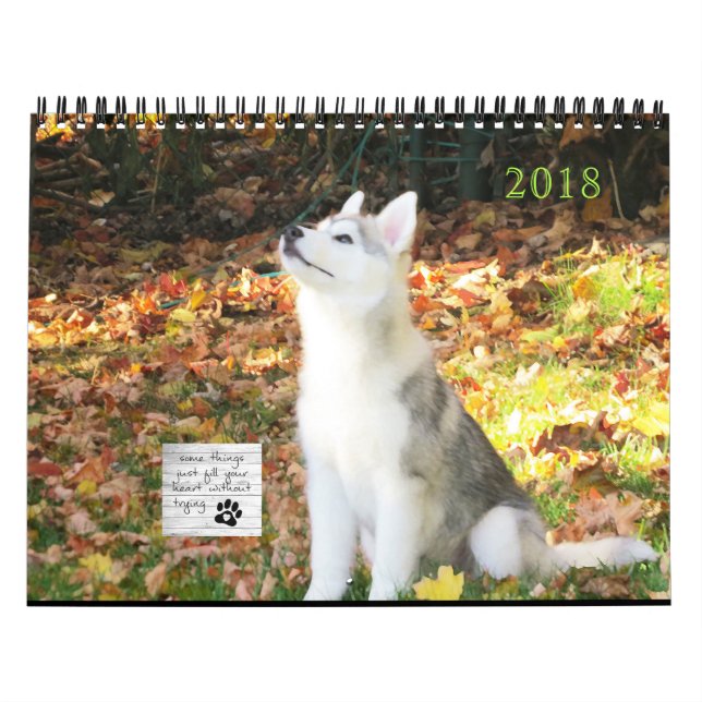 Siberian huskykalender kalender (Omslag)