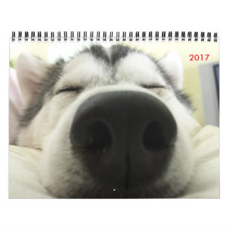 Siberian huskykalender kalender