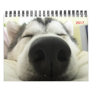 Siberian huskykalender kalender