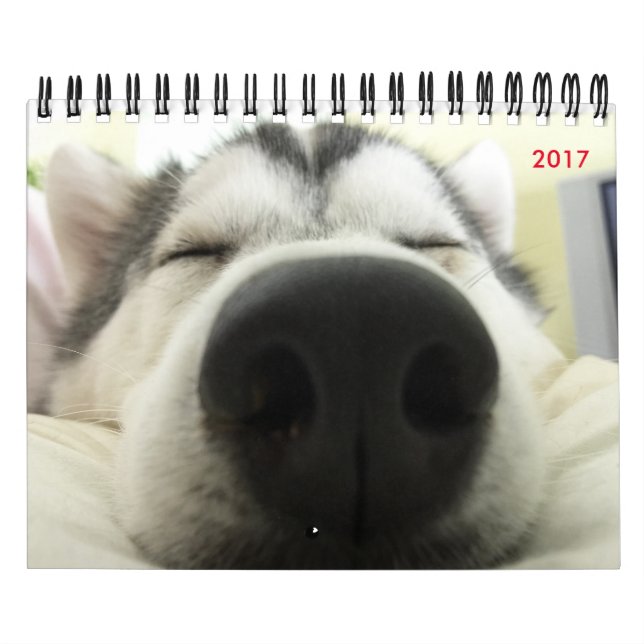Siberian huskykalender kalender (Omslag)