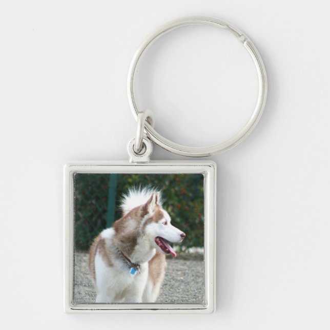 Siberian huskykeychain fyrkantig silverfärgad nyckelring (Framsidan)