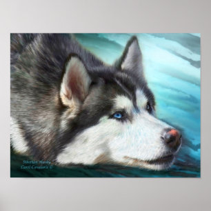 Siberian huskykonstaffisch/tryck poster