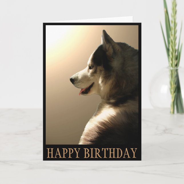 Siberian huskykort/alaskabo Malamutekort Kort (Framsida)