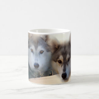 Siberian huskymugg kaffemugg