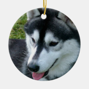 Siberian huskyprydnad julgransprydnad keramik