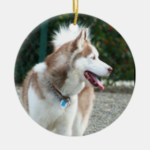 Siberian huskyprydnad julgransprydnad keramik