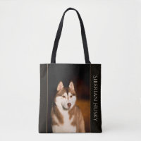Siberian huskytoto