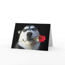 Siberian huskyvalentin kort för dag