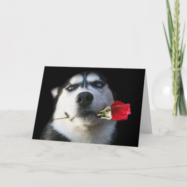 Siberian huskyvalentin kort för dag (Framsida)