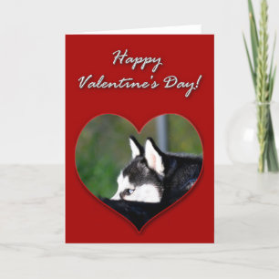 Siberian huskyvalentines daykort helgkort