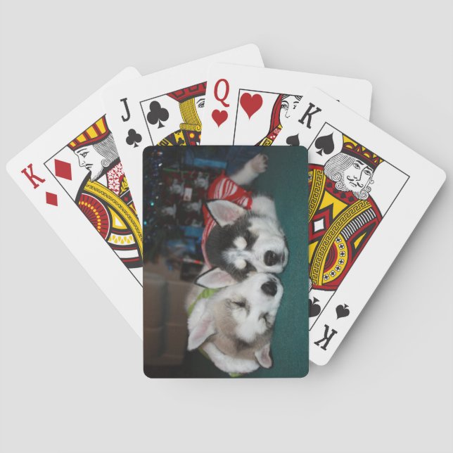 Siberian huskyvalp som leker kort spel kort (Baksidan)