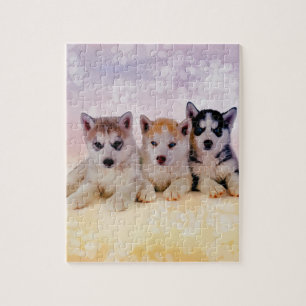 Siberian huskyvalpar pussel