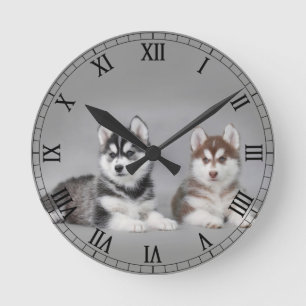 Siberian huskyvalpar rund klocka