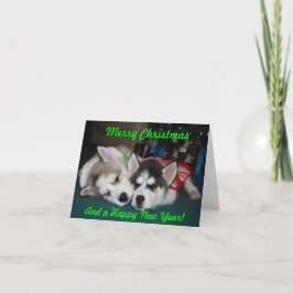 Siberian huskyvalpen noterar kortet helgkort
