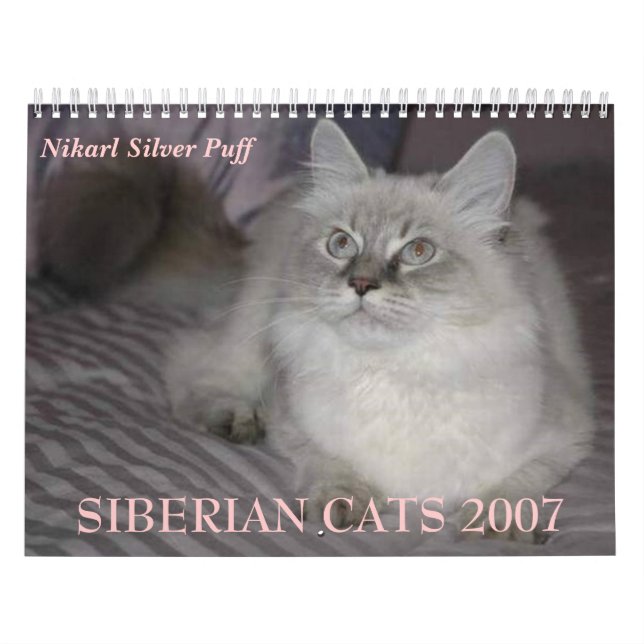 SIBERIAN kalender för KATTER 2007… (Omslag)