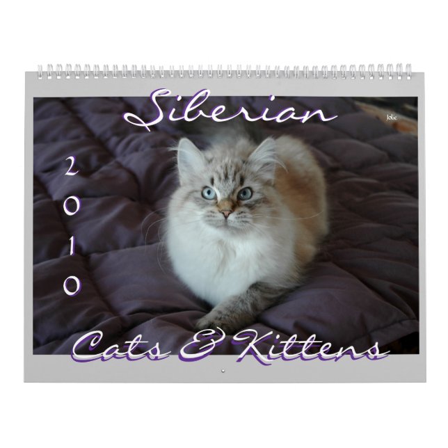 Siberian katt- & för kattungar 2010 kalender (Omslag)