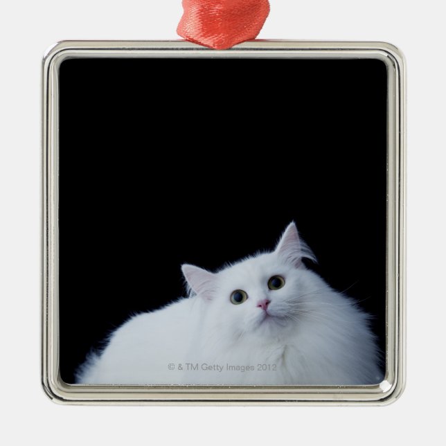 Siberian katt julgransprydnad metall (Framsidan)