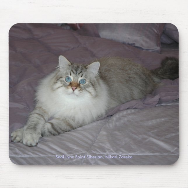 Siberian katt Mousepad Musmatta (Framsidan)