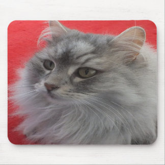 Siberian katt Mousepad Musmatta