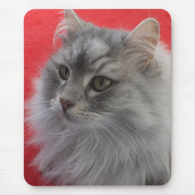 Siberian katt Mousepad Musmatta (Framsidan)