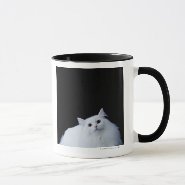 Siberian katt mugg (Höger)