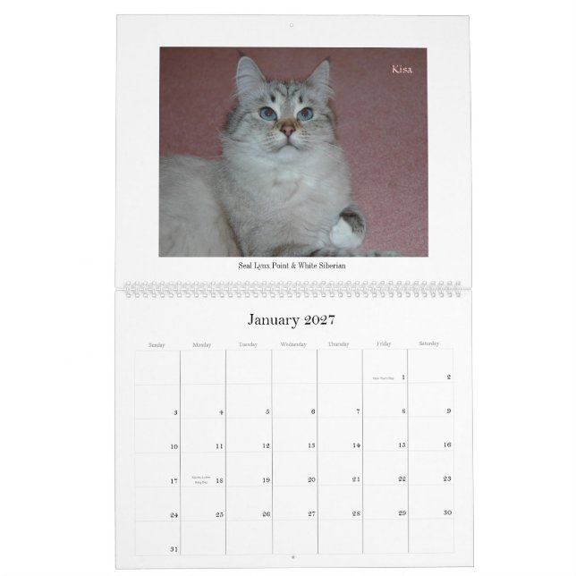Siberian katt- och kattungekalender Final2 Kalender (Jan 2027)