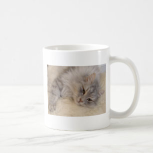 Siberian kattmugg kaffemugg