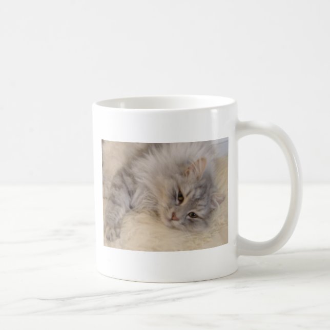 Siberian kattmugg kaffemugg (Höger)