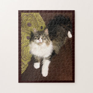 Siberian kattpussel pussel