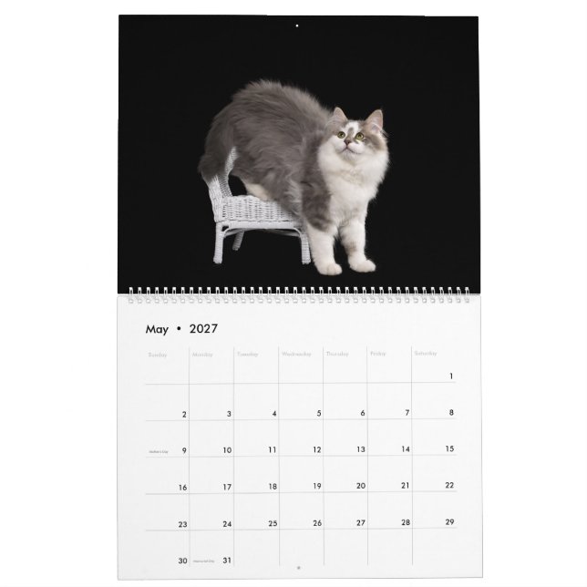 Siberian Kittens Calendar Kalender (May 2027)