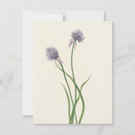 Siberian Onion av Mary Vaux Walcott Anteckningskort