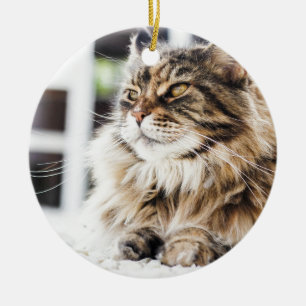 Siberian perserkattdesign för härlig fluffig tab julgransprydnad keramik