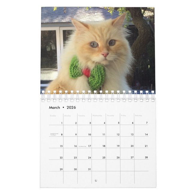 Siberian skogkatt kalender (Mar 2026)
