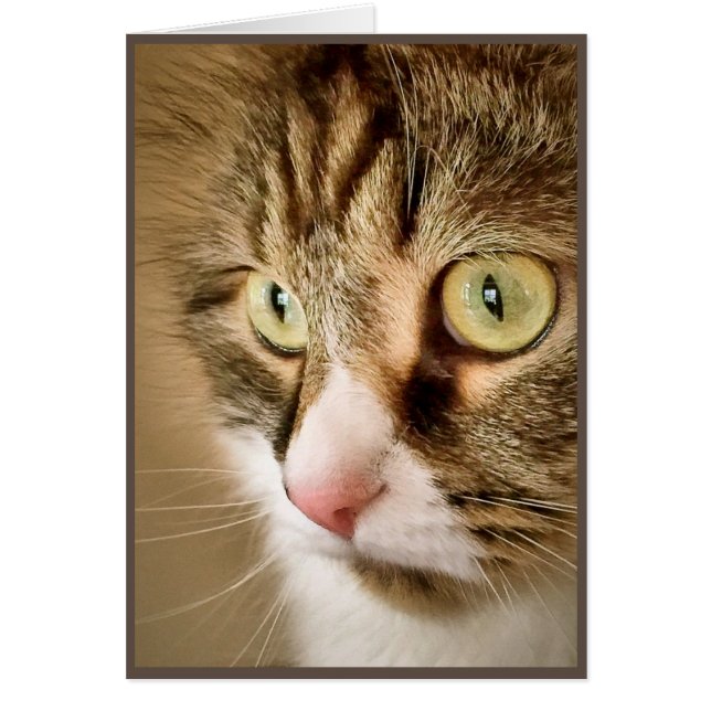 Siberian tankar (det tomma kortet) hälsningskort (Framsidan)