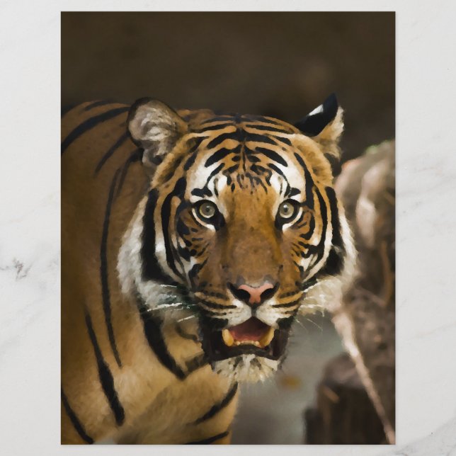 Siberian Tiger (Framsida)