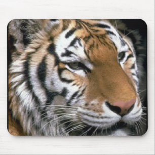 Siberian Tiger Älskare Art Musmatta