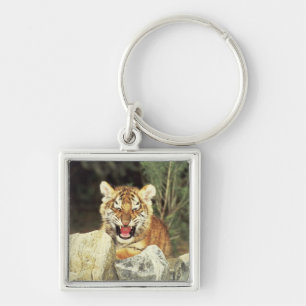 Siberian tiger fyrkantig silverfärgad nyckelring