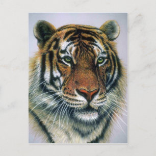 Siberian Tiger head Vykort