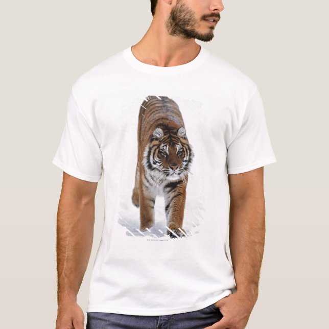 Siberian tiger i snö t-shirt (Framsida)