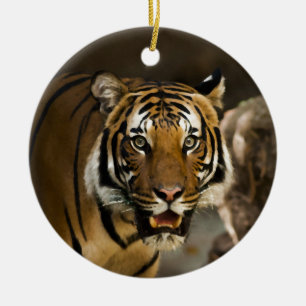 Siberian Tiger Julgransprydnad Keramik