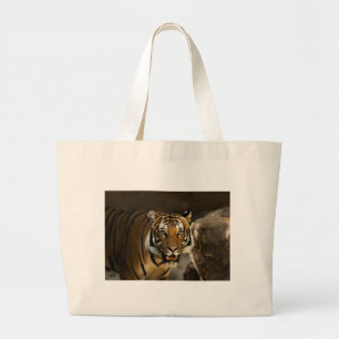 Siberian Tiger Jumbo Tygkasse