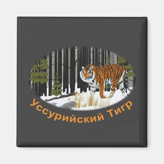 Siberian Tiger Magnet (Framsidan)