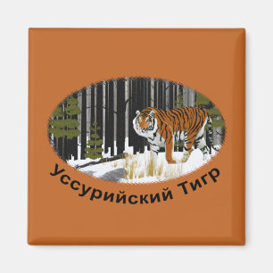 Siberian Tiger Magnet