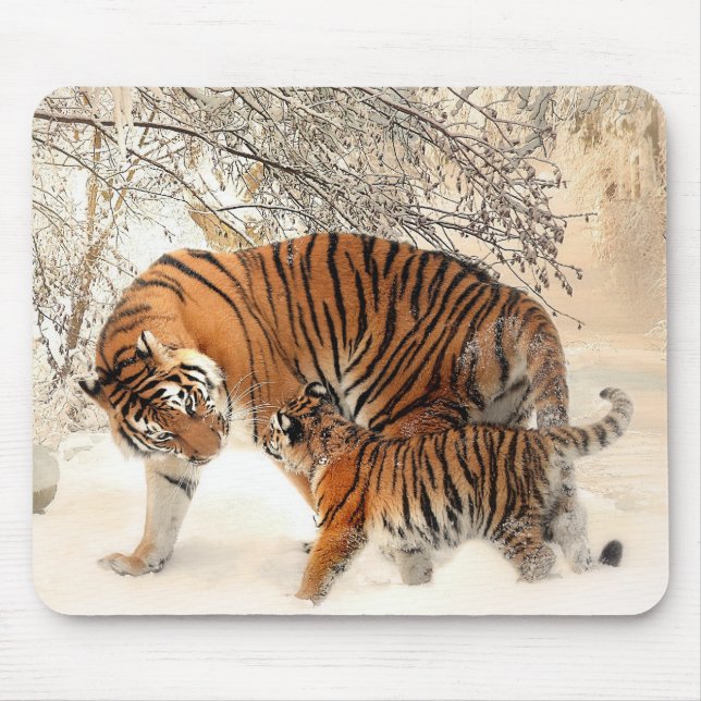 Siberian Tiger Mother and Kitten Musmatta (Framsidan)