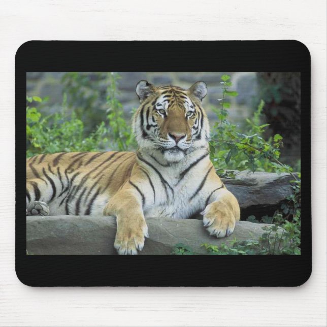Siberian Tiger Mousepad Musmatta (Framsidan)