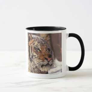 Siberian tiger mugg