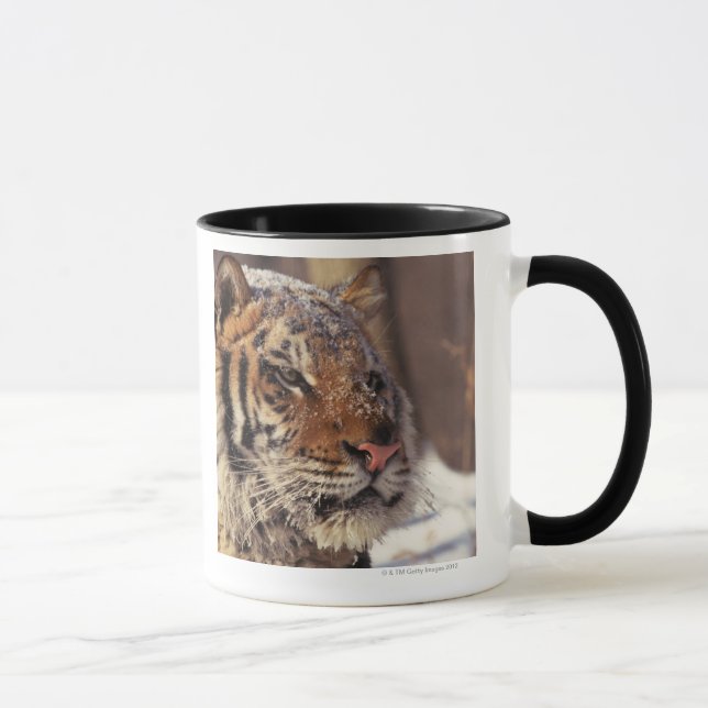 Siberian tiger mugg (Höger)